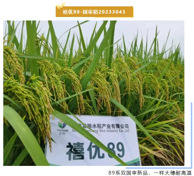 微信截图_20240102144949.png