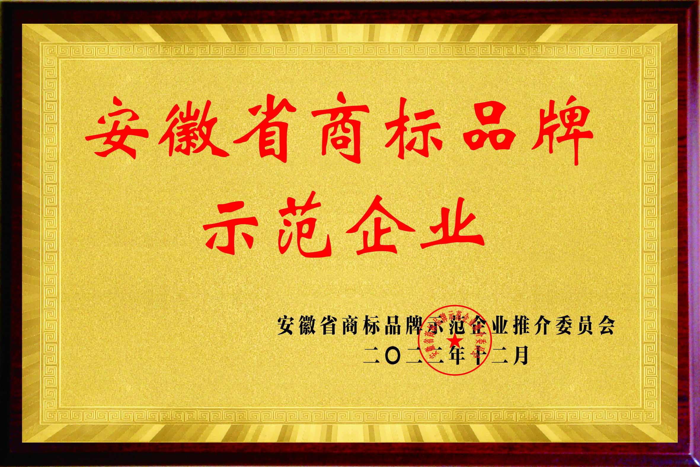 202212安徽省商(shāng)标品牌示范企业.jpg