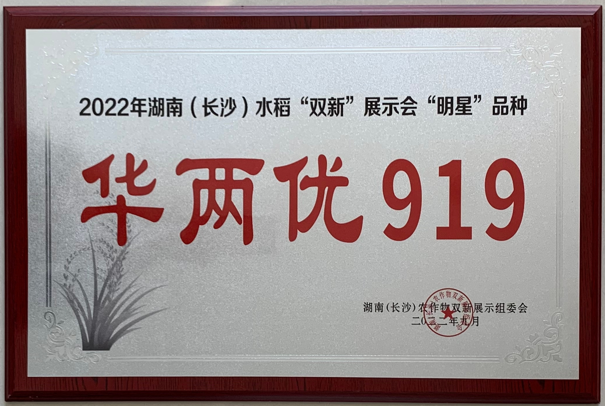202209湖(hú)南双新(xīn)展示明星品种-华两优919.jpg